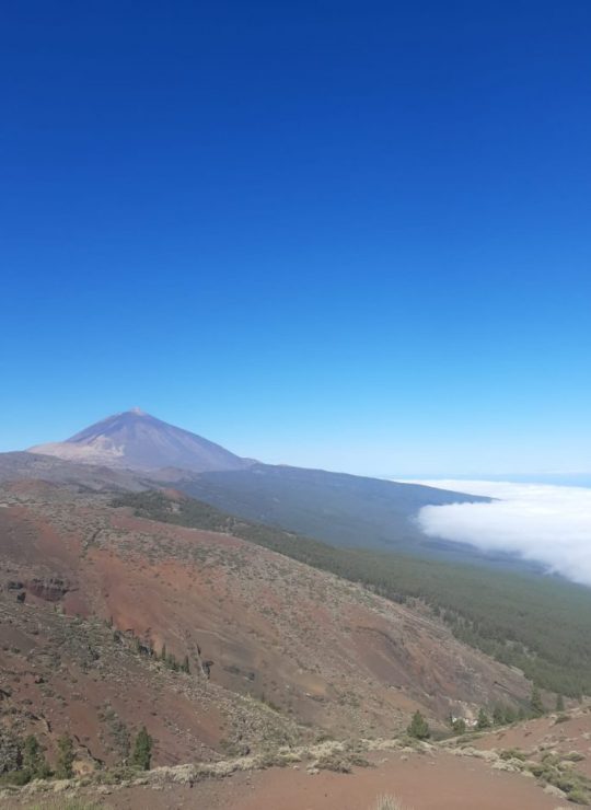 Tenerife Island Tenerife Island