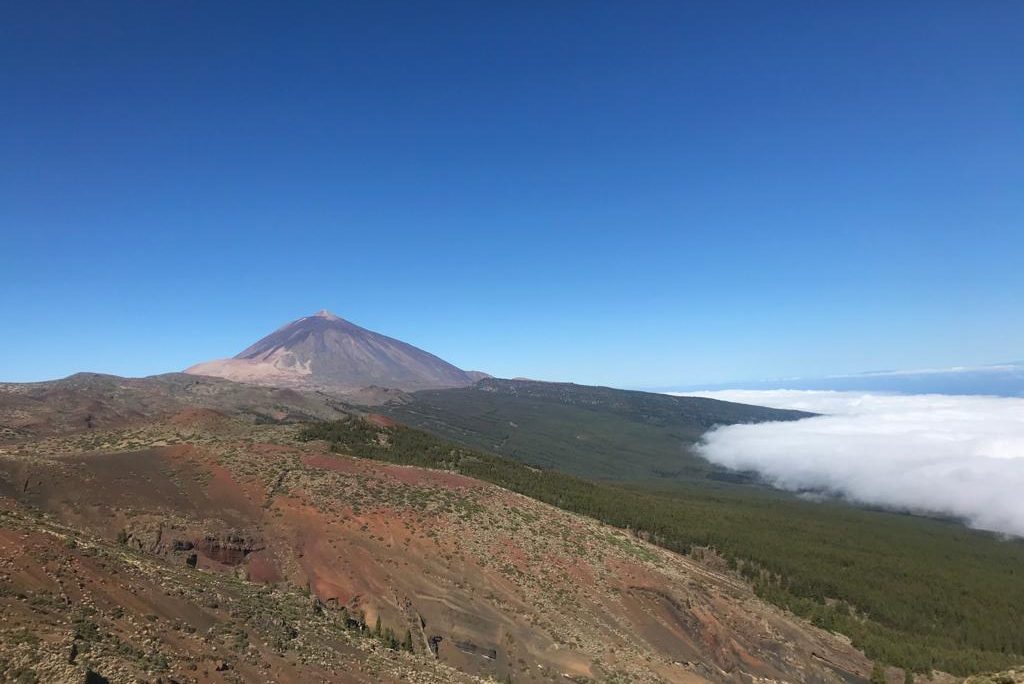 Why come to the Canary Islands?