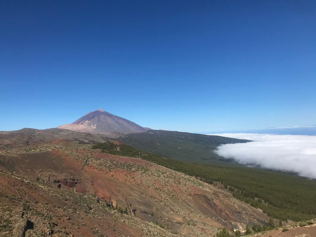 Why come to the Canary Islands? Why come to the Canary Islands?
