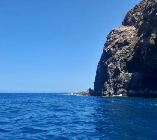 Whale and dolphin watching on a yacht in Los Gigantes Whale and dolphin watching on a yacht in Los Gigantes