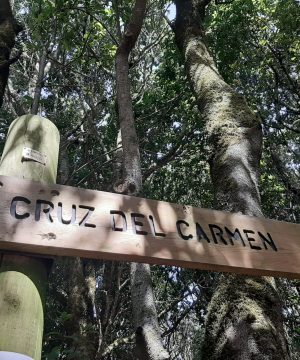 Reserva – Ruta por Anaga y brunch típico canario