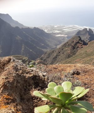 Reserva – Ruta de Anaga a Punta de Hidalgo