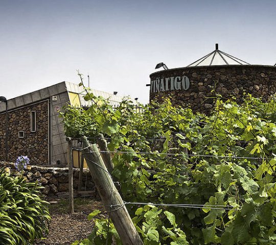 Visit to the Viñátigo winery, and tasting of these magnificent Canary Island wines.