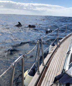 Reserva – Puesta de sol en barco por la costa de Los Gigantes