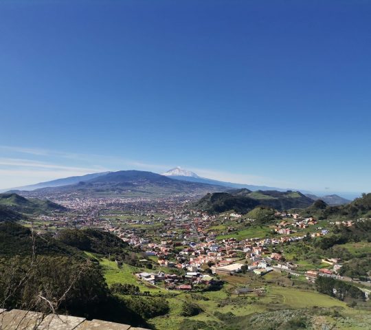 Nature, wine and history of Tenerife