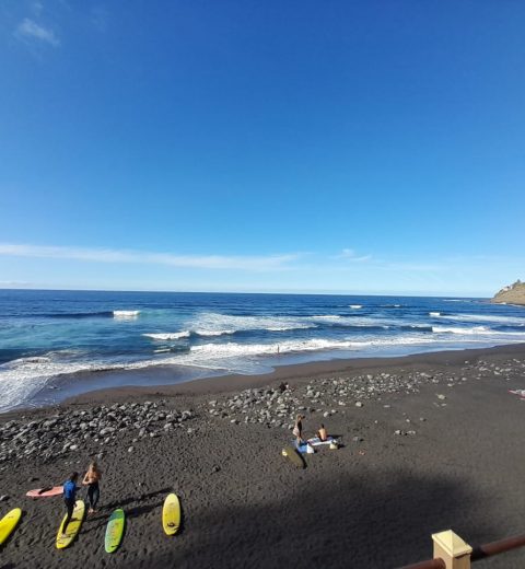 ¿Por qué venir a las Islas Canarias?